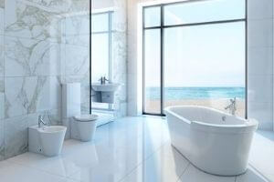 Bathroom with a View